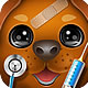 Baby Pet Vet Doctor