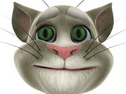 Talking Tom Cat