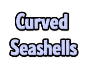 Curved Seashells