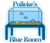 Polleke's Blue Room