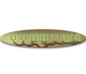 Quantum