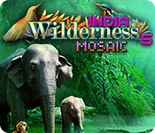 Wilderness Mosaic 5: India